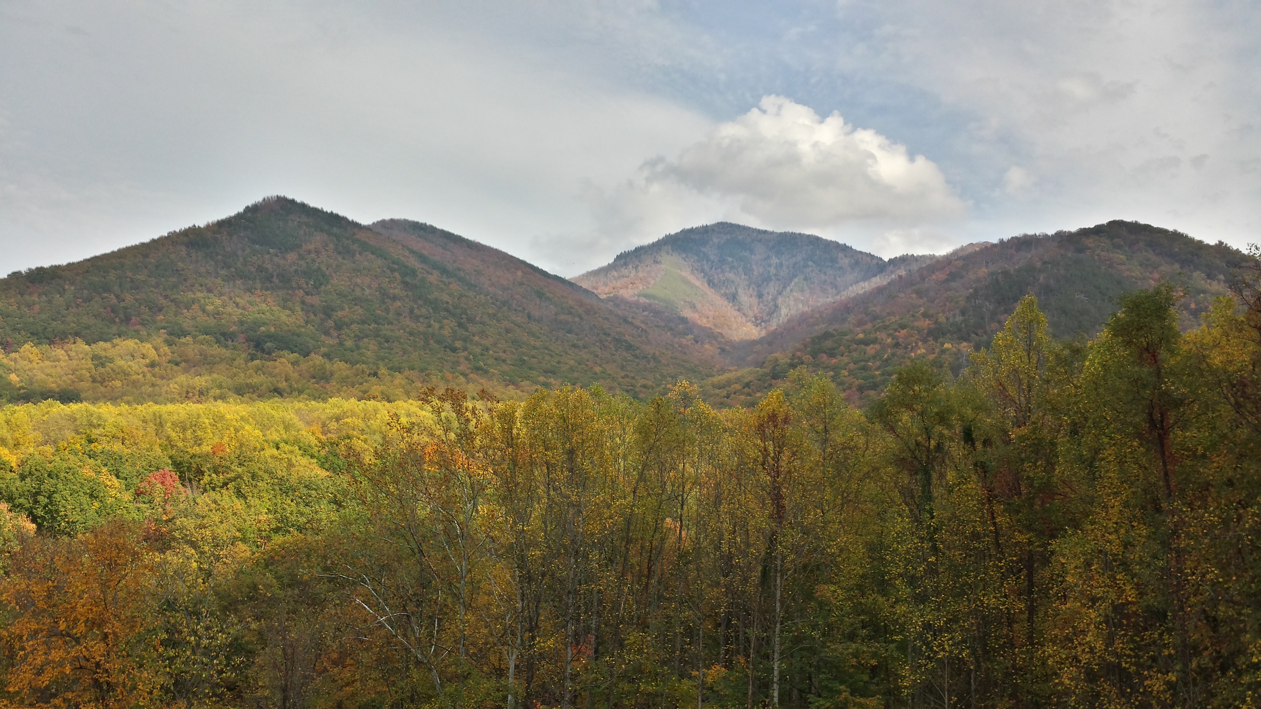 Gatlinburg, TN